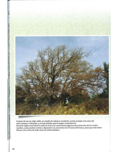 Livre - Bonsai Passion - Apprendre des Arbres
