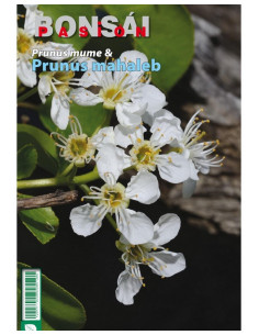 Libro - Bonsái Pasión - Prunus Mume y Prunus Mahaleb