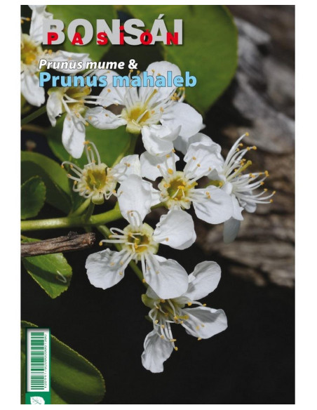 Libro - Bonsái Pasión - Prunus Mume y Prunus Mahaleb