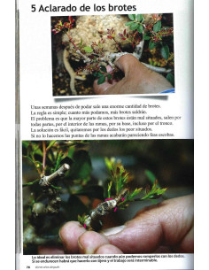 Libro - Bonsai Passione - I Lentischi in Bonsai 20 anni dopo 2