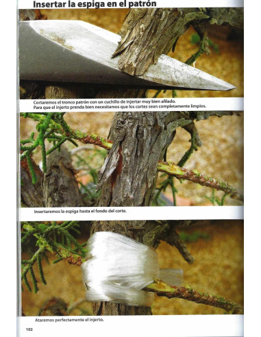 Libro - Bonsai Passion - L'Innesto, La Tecnica Sconosciuta