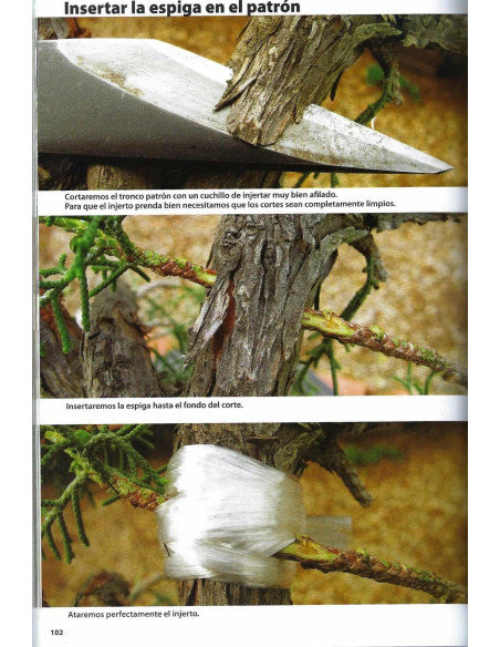 Livro - Bonsai Passion - El Injerto, La Técnica Desconocida
