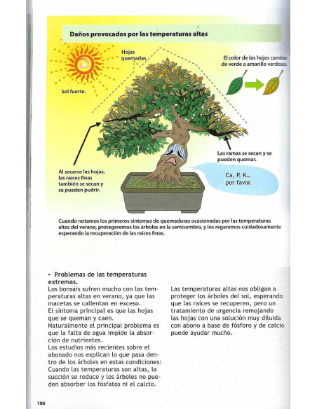 Buch - Bonsai Passion - Wissenschaftlicher Bonsai-Kurs (1)