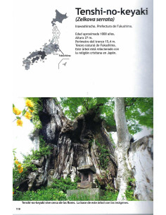Libro - Bonsái Pasión - Encuentros con Gigantes 2
