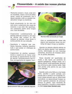 Libro di Orchidee - Cura e Consigli 2