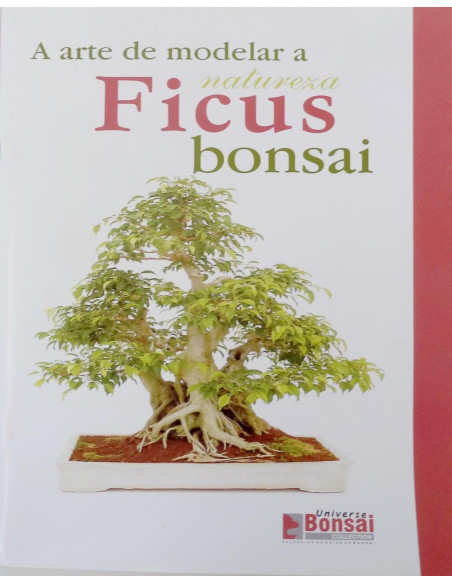 Guía de Bonsai - Ficus - El Arte de Formar la Naturaleza