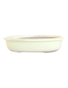Oval Bonsai Pot 45*34.5*6 cm Cream - Japan