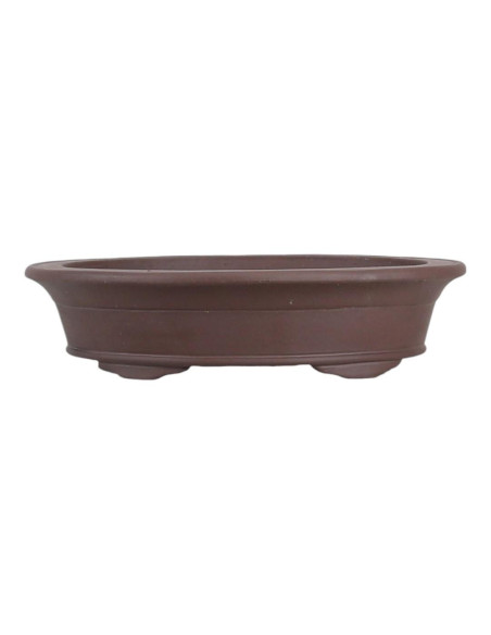 Maceta Ovalada para Bonsái Kasuga 45*34*10 cm Sin Esmalte - Yixing