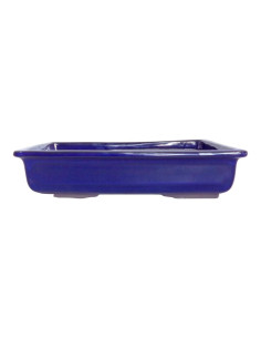 Pot rectangulaire pour bonsaï 36,5*25*7,5 cm Bleu - Japon