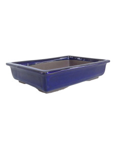 Pot rectangulaire pour bonsaï 36,5*25*7,5 cm Bleu - Japon 2