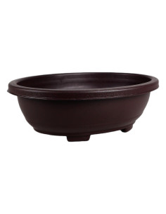 Pot of Pre Bonsai Oval 30*24*10 cm Brown - Taiwan 2