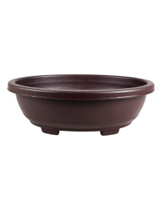 Vase de Pré-Bonsaï Ovale 47,5*37*16 cm Marron - Taïwan