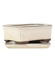 Rectangular Bonsai Pot + Saucer 21.5*15.5*7 cm Cream - Yixing 2