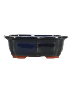Vaso di Bonsai Ovale 29*22*10 cm Blu - Yixing
