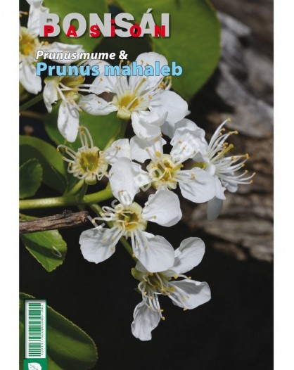 Livro - Bonsai Passion - Prunus Mume e Prunus Mahaleb