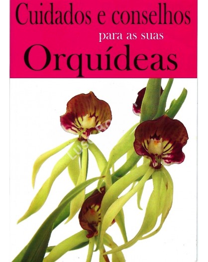 Cuidados e Conselhos para as suas Orquídeas