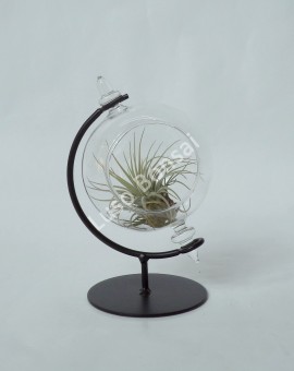Secret Of Desert "In Sphere Glass"