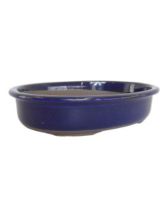 Maceta de Bonsái Ovalada 41*33*6 cm Azul - Japón 2
