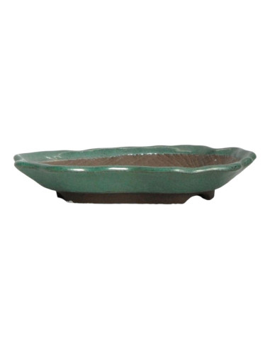 Vase de Bonsai Forêt 18*13*3 cm Vert - Japon
