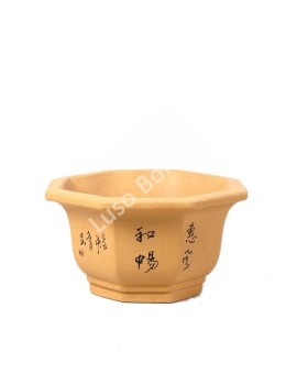 Vaso Hexagono 15*15*8 cm c/ Desenhos Yixing