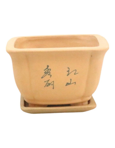 Vaso di Bonsai Cascata Quadrato + Piatto 13,5*13,5*11 Senza Smalto - Yixing