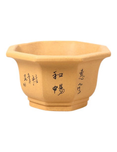 Bonsai-Vase Hexagon 15*15*8 cm mit Zeichnungen ohne Glasur - Yixing
