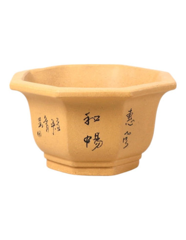 Bonsai-Vase Hexagon 15*15*8 cm mit Zeichnungen ohne Glasur - Yixing
