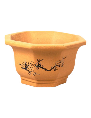 Bonsai-Vase Hexagon 15*15*8 cm mit Zeichnungen ohne Glasur - Yixing