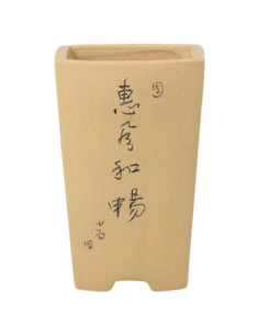 Pot de Bonsai Cascade 8,5*7,5*13 cm avec Dessins Sans Émail – Yixing
