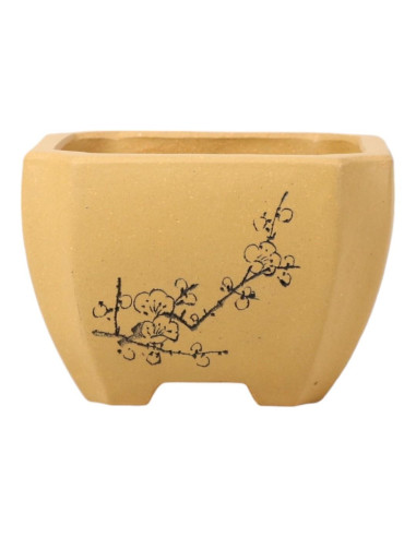 Vaso di Bonsai Quadrato 12*8,5 cm con Disegni Senza Smalto - Yixing