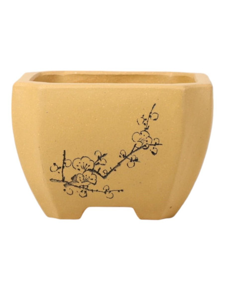 Vaso di Bonsai Quadrato 12*8,5 cm con Disegni Senza Smalto - Yixing
