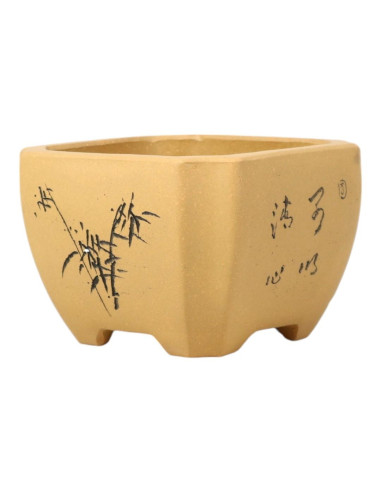 Vaso di Bonsai Quadrato 12*8,5 cm con Disegni Senza Smalto - Yixing