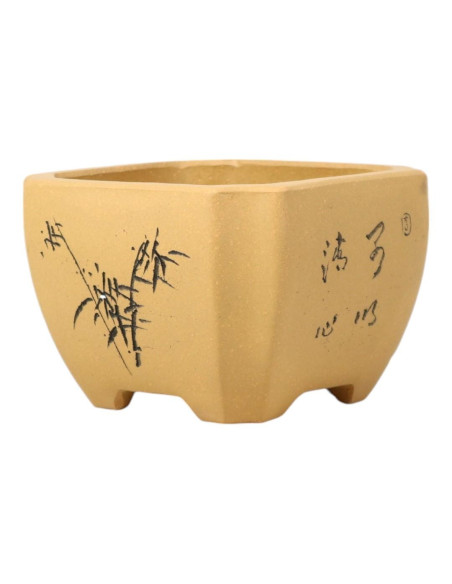 Vaso di Bonsai Quadrato 12*8,5 cm con Disegni Senza Smalto - Yixing