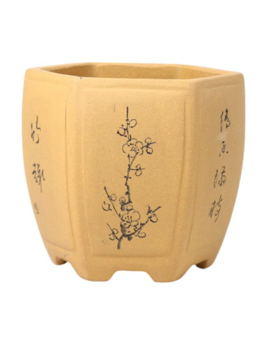 Vaso di Bonsai Cascata 12*11*11 cm con Disegni Senza Smalto – Yixing