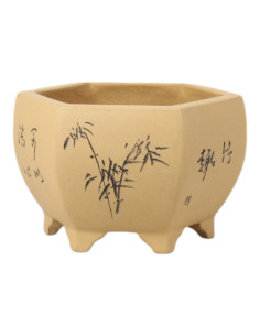 Vaso da Bonsai Esagonale 14*13*9 cm con Disegni – Yixing
