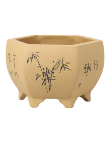 Hexagonaler Bonsai-Topf 14*13*9 cm mit Mustern – Yixing