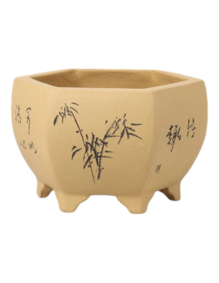 Vase de Bonsai Hexagone 14*13*9 cm avec Dessins – Yixing