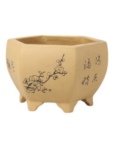 Vaso da Bonsai Esagonale 14*13*9 cm con Disegni – Yixing 2