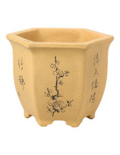 Vaso da Bonsai Cascata 12*10*11 cm con Disegni Senza Smalto – Yixing 2