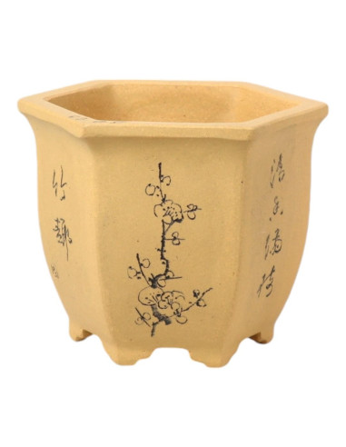 Vaso di Bonsai Cascata 12*10*11 cm con Disegni Senza Smalto – Yixing