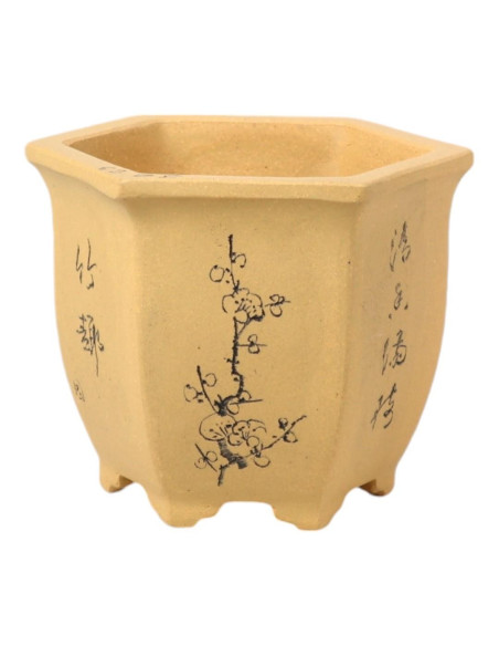 Vase für Bonsai Wasserfall 12*10*11 cm mit Designs ohne Glasur – Yixing