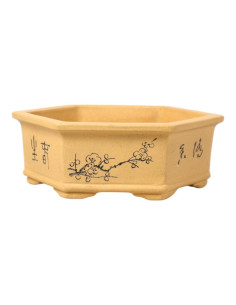 Maceta de Bonsai Hexágono 16*14*5,5 cm c/ Dibujos Sin Esmalte – Yixing
