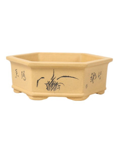 Maceta de Bonsai Hexágono 16*14*5,5 cm c/ Dibujos Sin Esmalte – Yixing 2