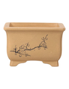 Vaso de Bonsai Retangular 11*8,5*7 cm c/ Desenhos Sem Esmalte – Yixing