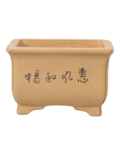 Vaso da Bonsai Rettangolare 11*8,5*7 cm con Disegni Senza Smalto – Yixing 2