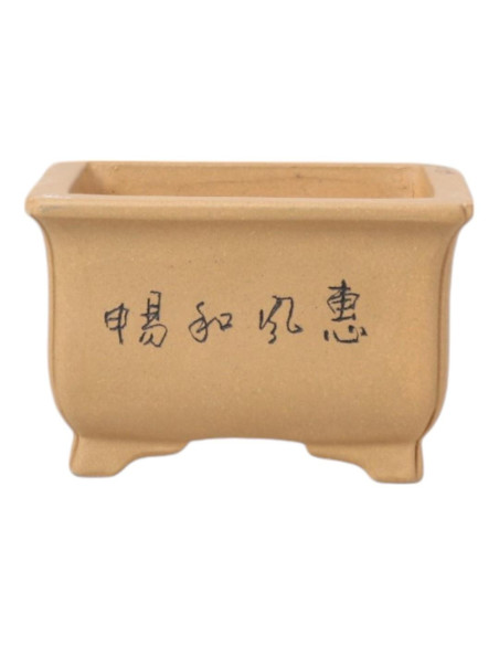 Vaso da Bonsai Rettangolare 11*8,5*7 cm con Disegni Senza Smalto – Yixing
