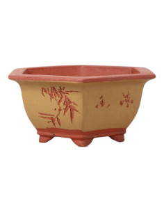 Vaso di Bonsai Esagonale 26*23*10 cm con Disegni – Yixing