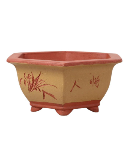 Hexagonale Bonsai-Vase 26*23*10 cm mit Mustern – Yixing