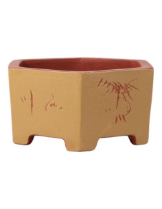 Sechseckiger Bonsai-Topf 26*23*12 cm mit Zeichnungen, ohne Glasur - Yixing