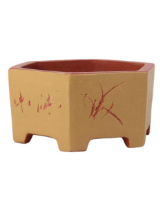 Sechseckiger Bonsai-Topf 26*23*12 cm mit Zeichnungen, ohne Glasur - Yixing 2